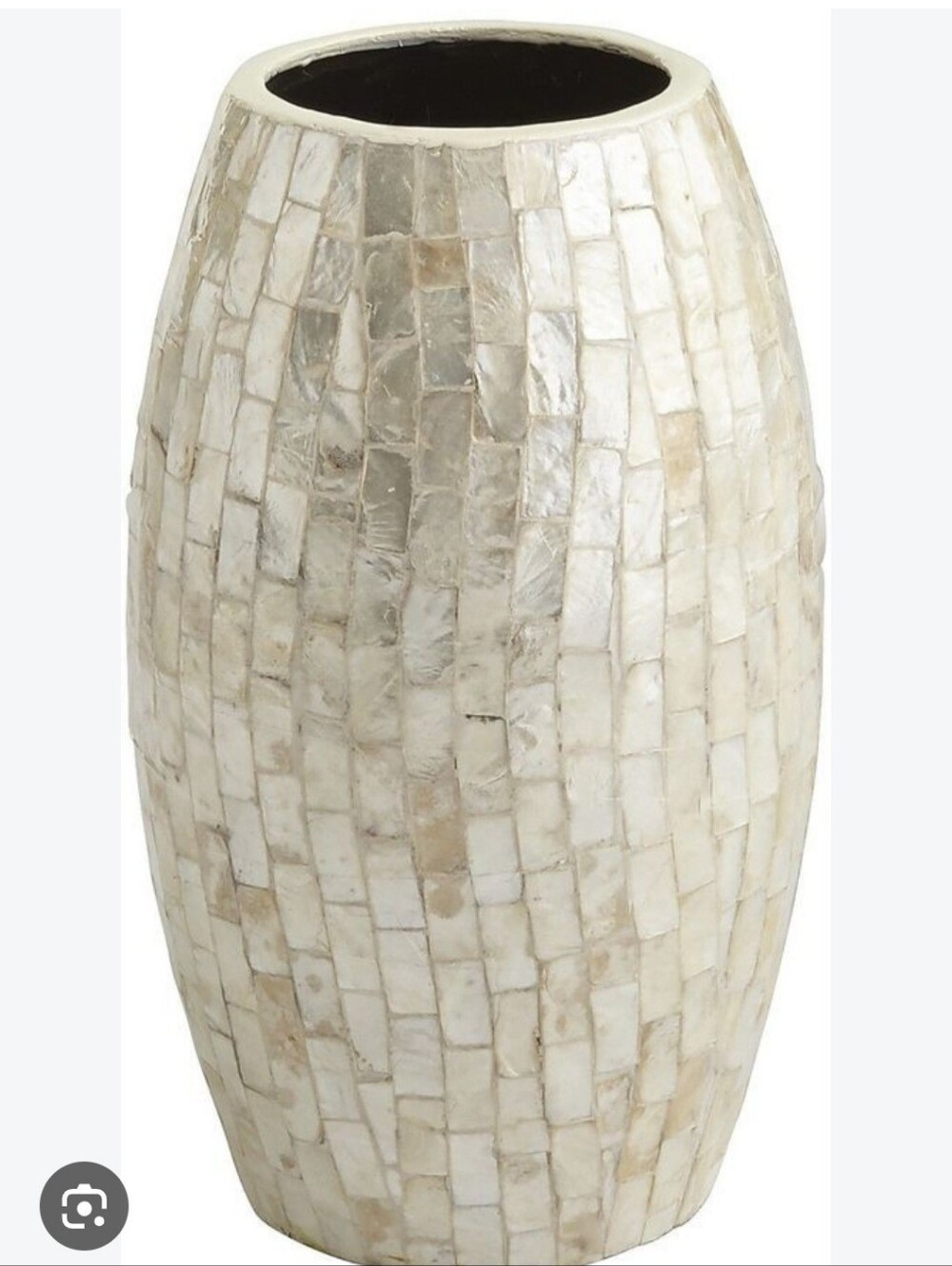 Pier One Elegant Decorative Vase (Only)
